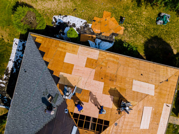 Best Local Roofing Companies  in Sughter, LA