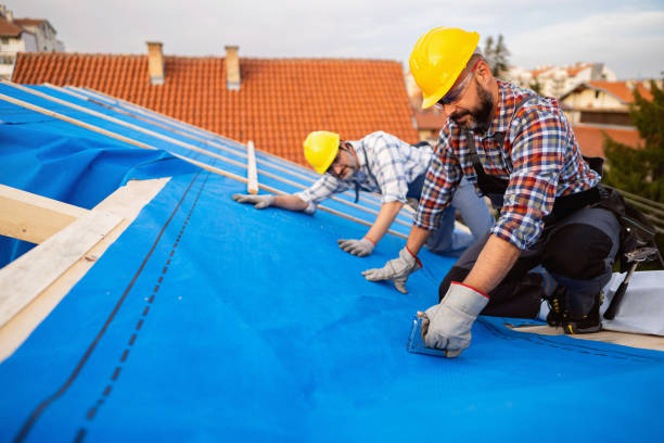 Best Roof Waterproofing Services  in Sughter, LA