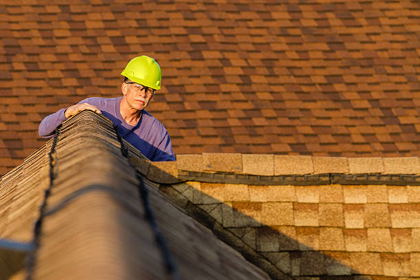 Roof Gutter Cleaning in Slaughter, LA